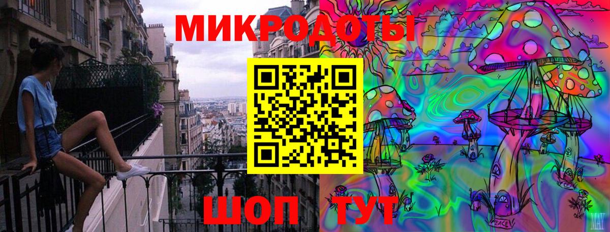 Псилоцибиновые грибы Psilocybe Нерюнгри